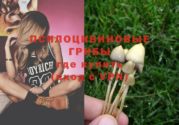 ешки Аркадак