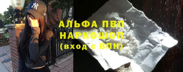 СК Арсеньев