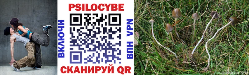 Псилоцибиновые грибы Psilocybine cubensis  mega вход  Камбарка 